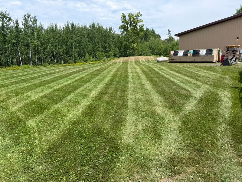 Lawn Care & Maintenance