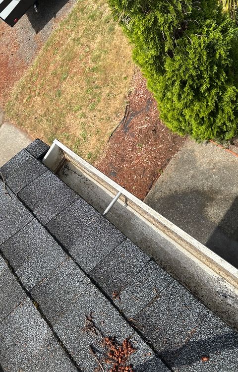 Gutter Cleaning