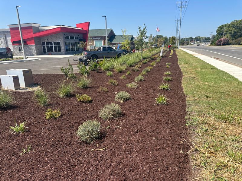 Mulch Installation