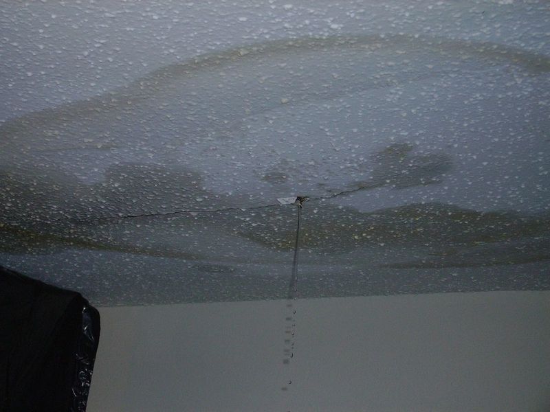 Seamless Pipe Repair on Pagoda Drive: Dutton Plumbing, Inc.'s Innovative Solution in Indianapolis