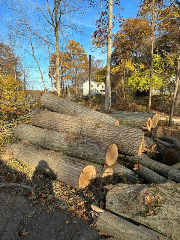 Fall Clean Up
