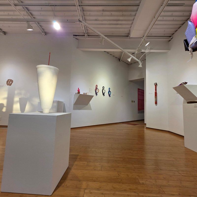 "Transforming Spaces: Stotts Extravagant Painting's Gallery Masterpiece in Modern Artistry"