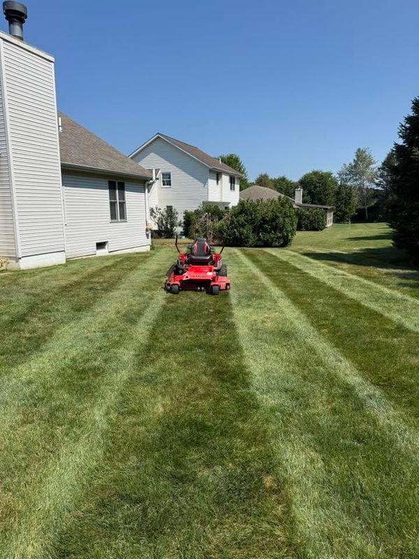 Lawn Maintenance