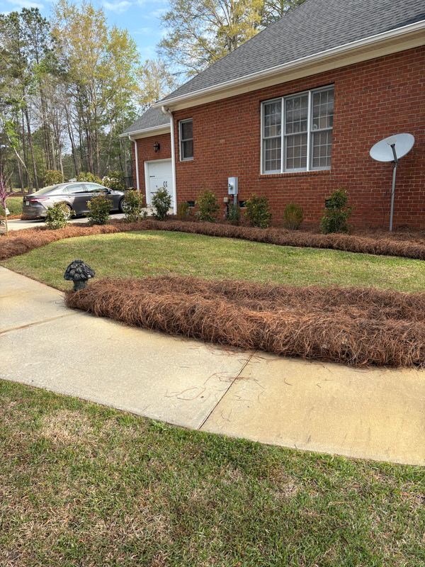 Landscape Design