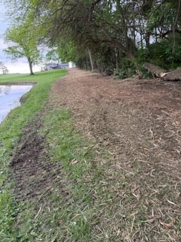 Land Clearing