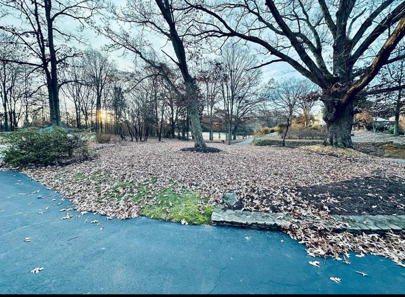 Leaf Removal