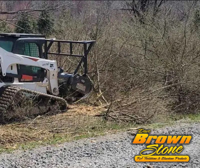 Forestry Mulching & Land Clearing