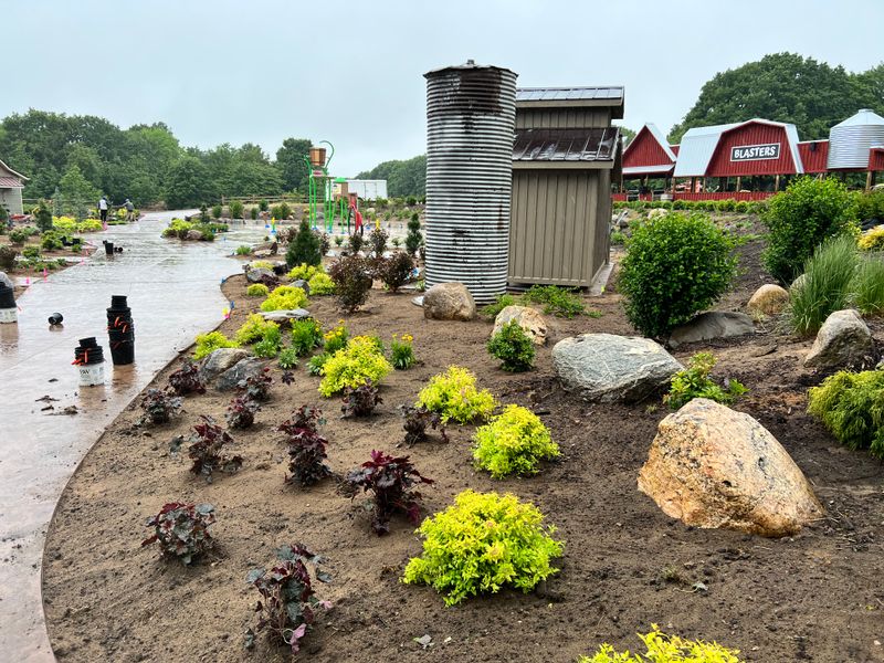 Landscaping