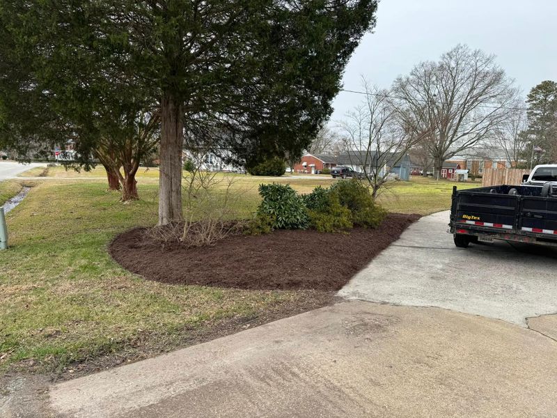 Debris Removal and Cleanup