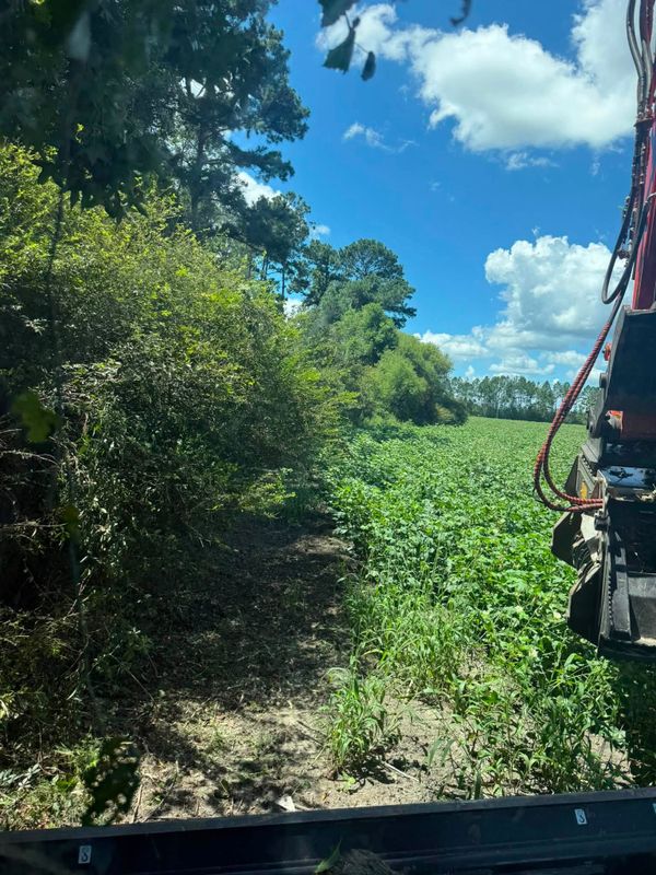 Land Clearing