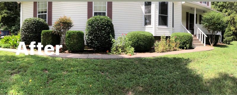 Shrub Trimming