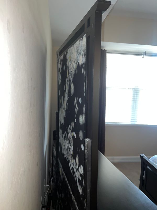 Mold Remediation