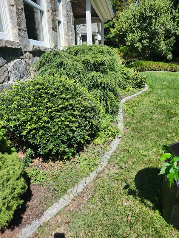 Muclhing & Weeding