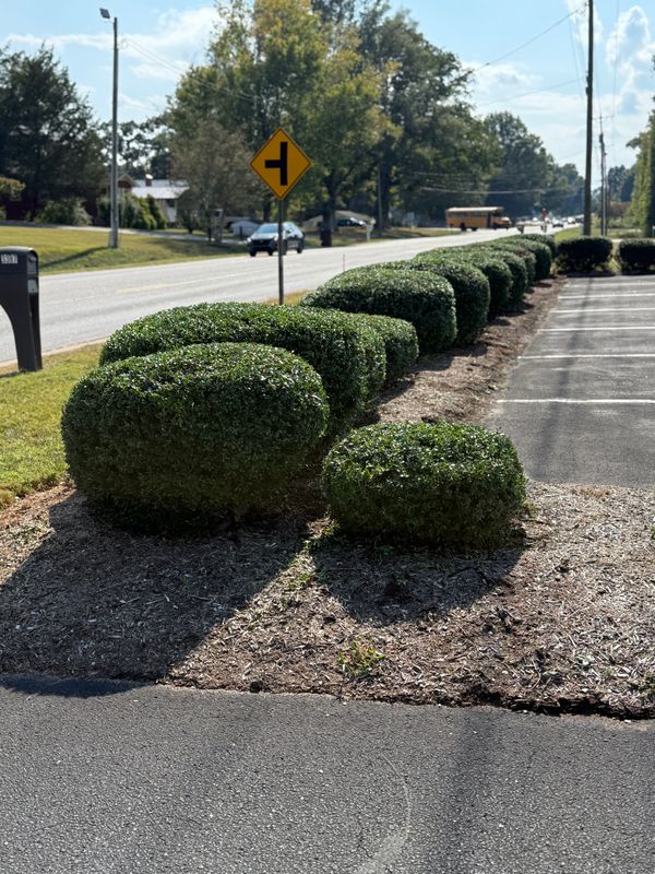 Landscaping
