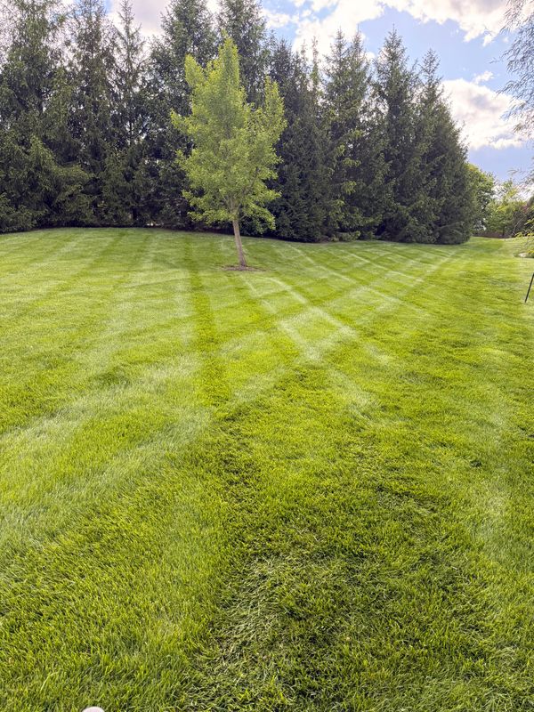 Lawn Care and Maintenance