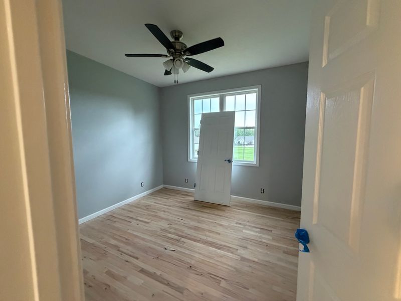 Interior Painting