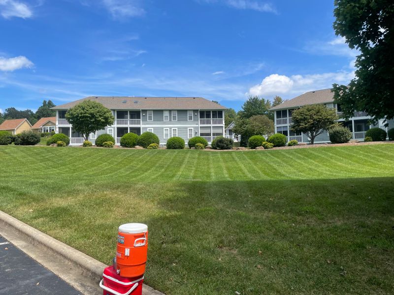 Lawn Maintenance