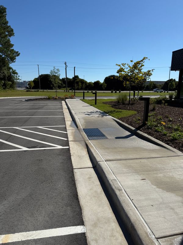 Driveway and Sidewalk Cleaning