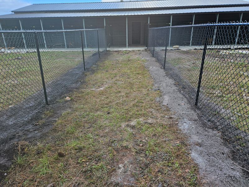 Chainlink Fences