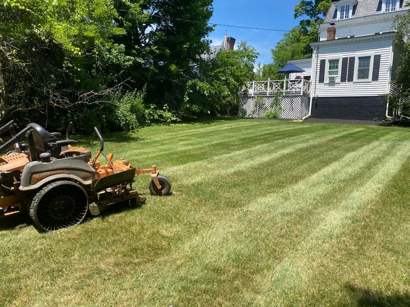 Lawn Care