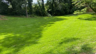 Lawn Maintenance