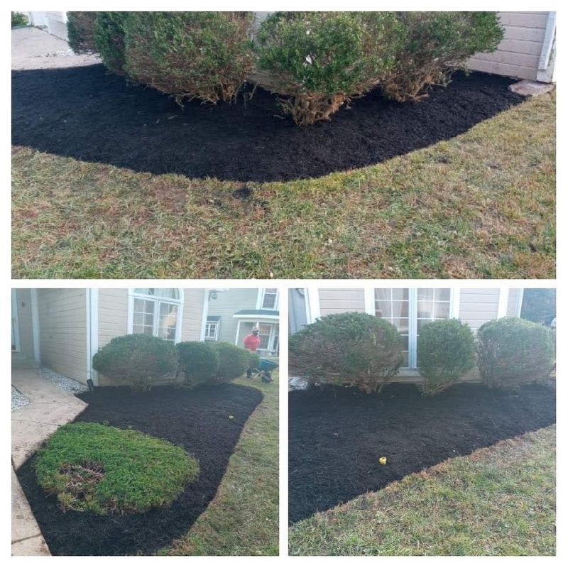Landscape Design/Mulching