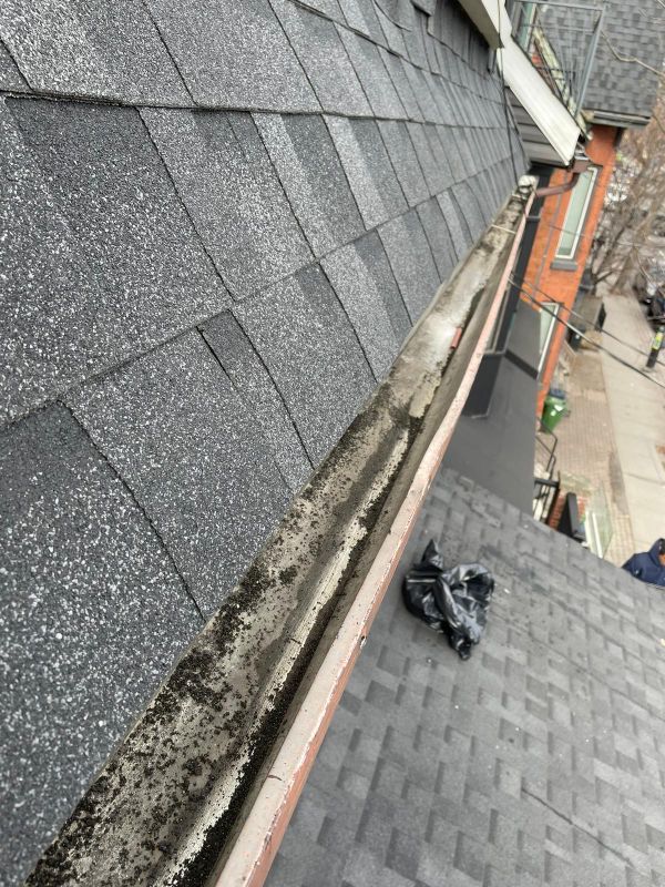 Roofing Resilience: Revitalizing Toronto's Skyline with Expert Repair & Maintenance