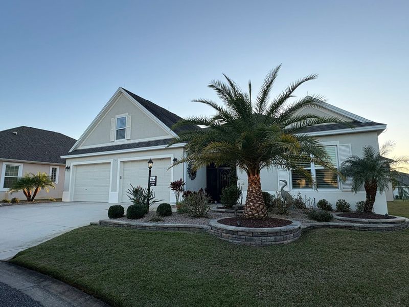 Tree & Shrub Care