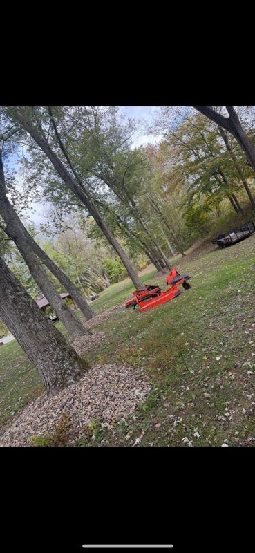 Fall Clean Up