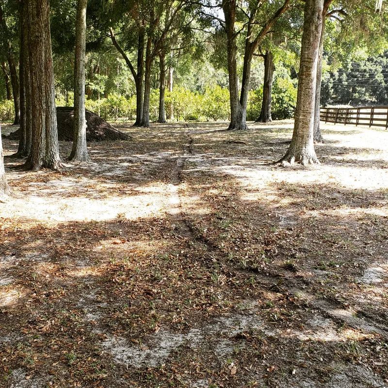 Site Preparation