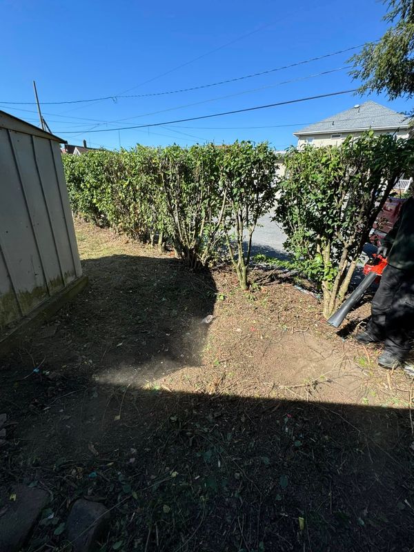 Landscaping