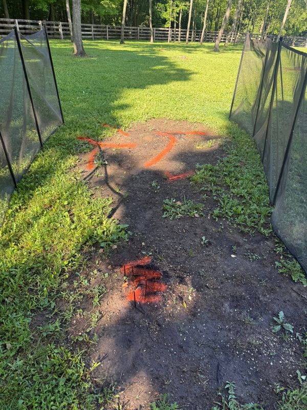 Stump Removal