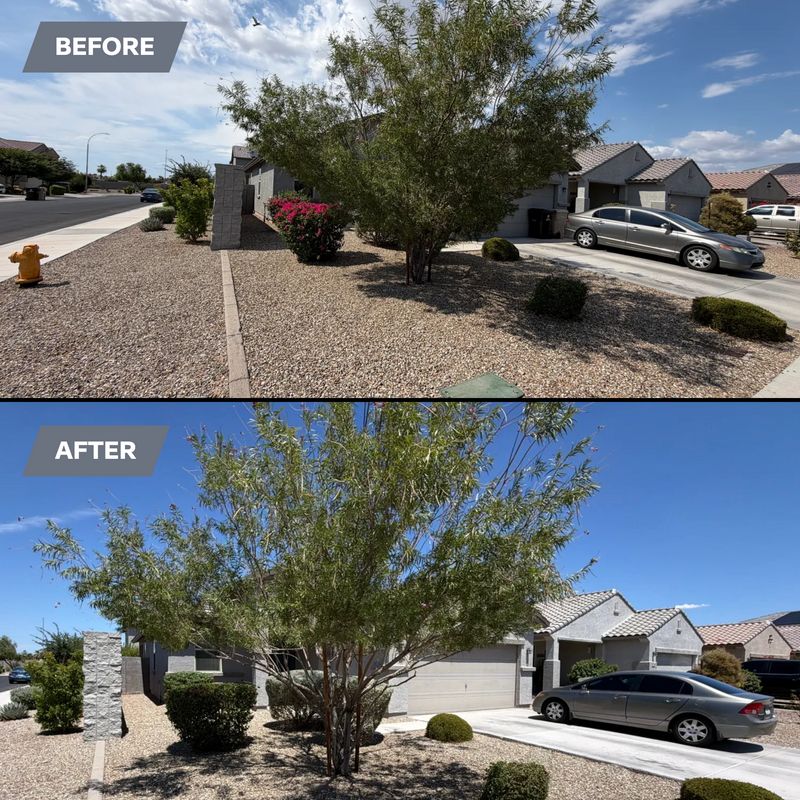 Tree & Shrub Care