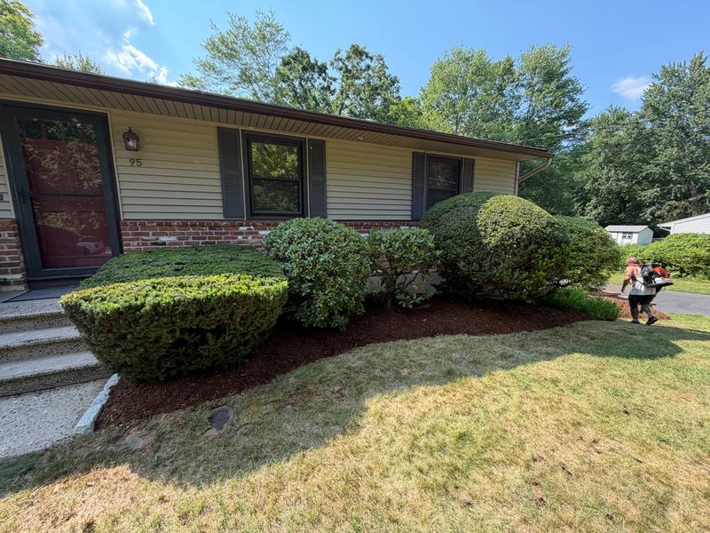 Lawn Maintenance