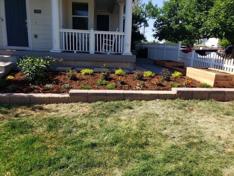 Mulch Installation