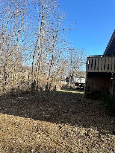 Land Clearing