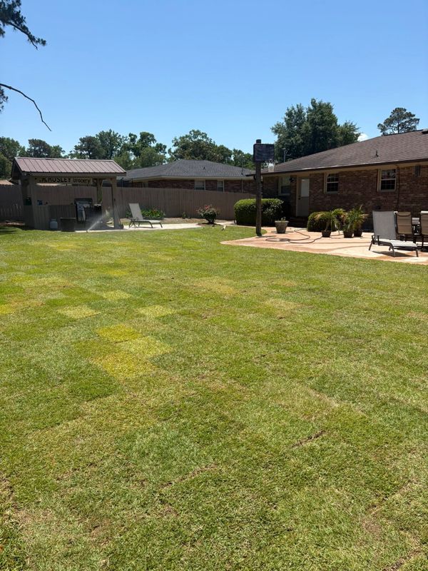 Lawn Maintenance