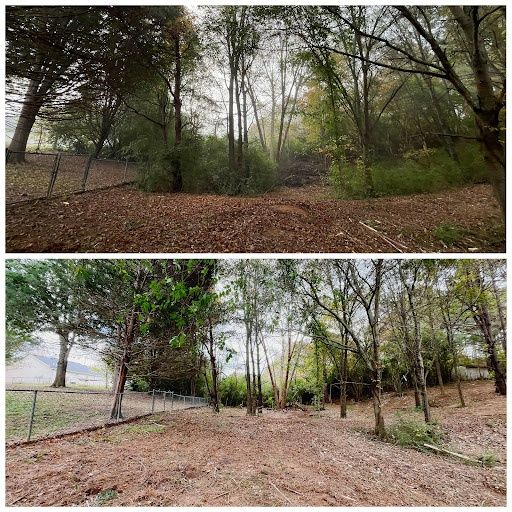 Lot Clearing