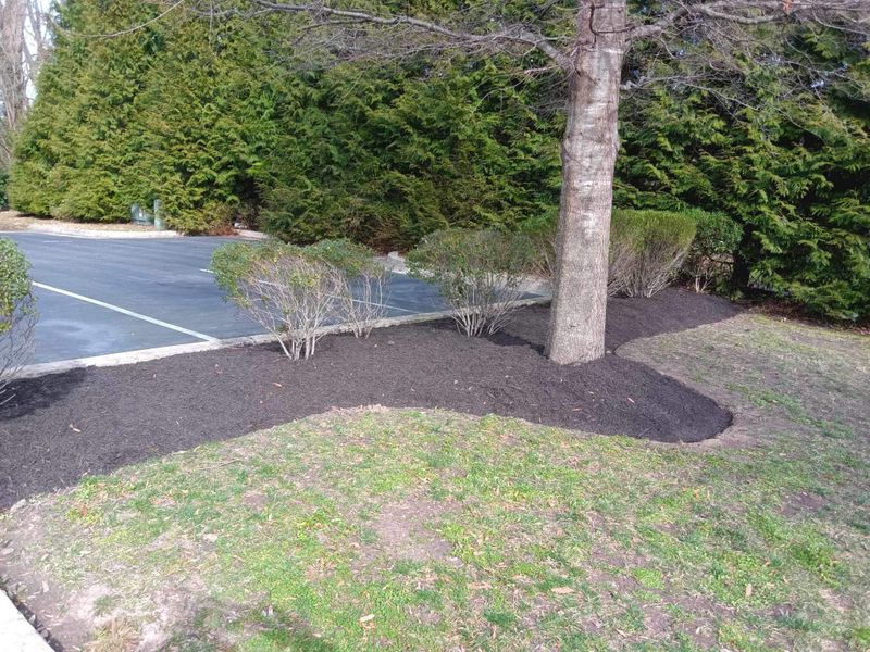 Landscape Design/Mulching