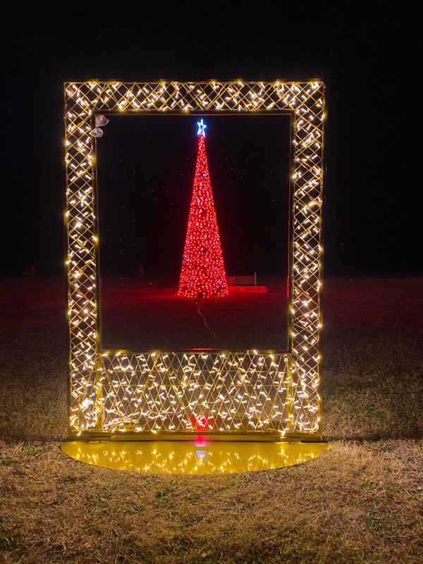 Holiday Lighting