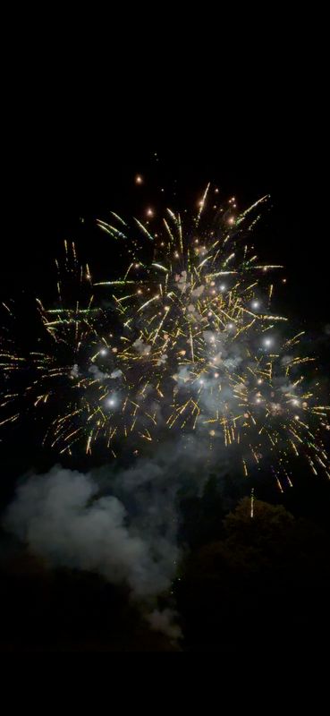 Firework shows and displays Sky High Fireworks South Carolina Fireworks