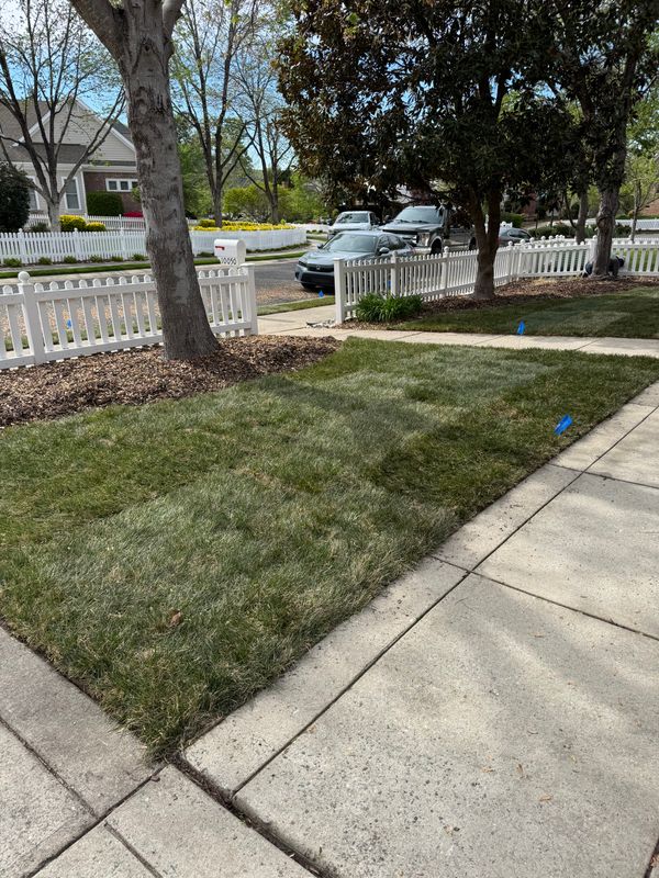 Mowing