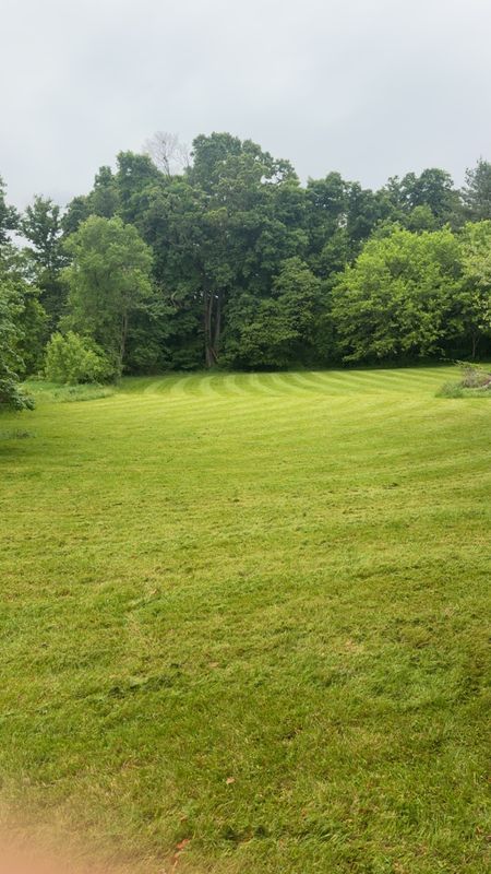 Lawn Maintenance