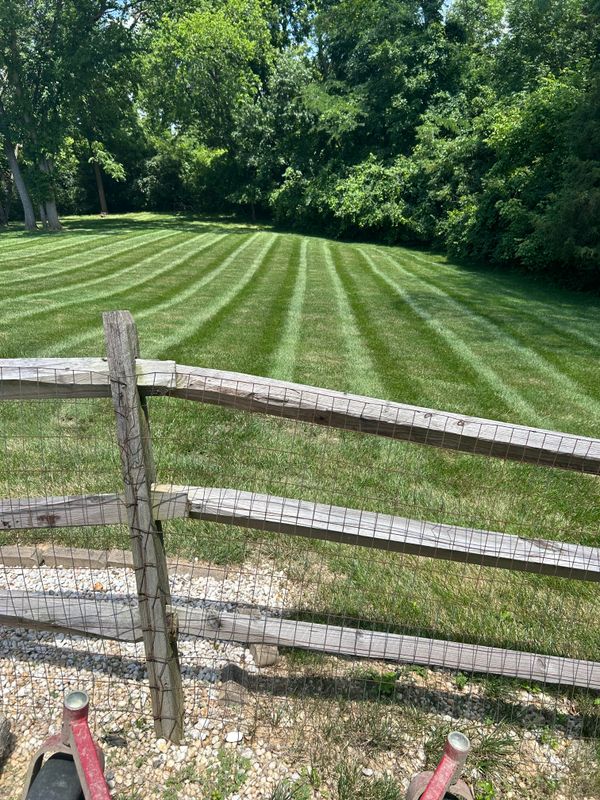Our Mowing