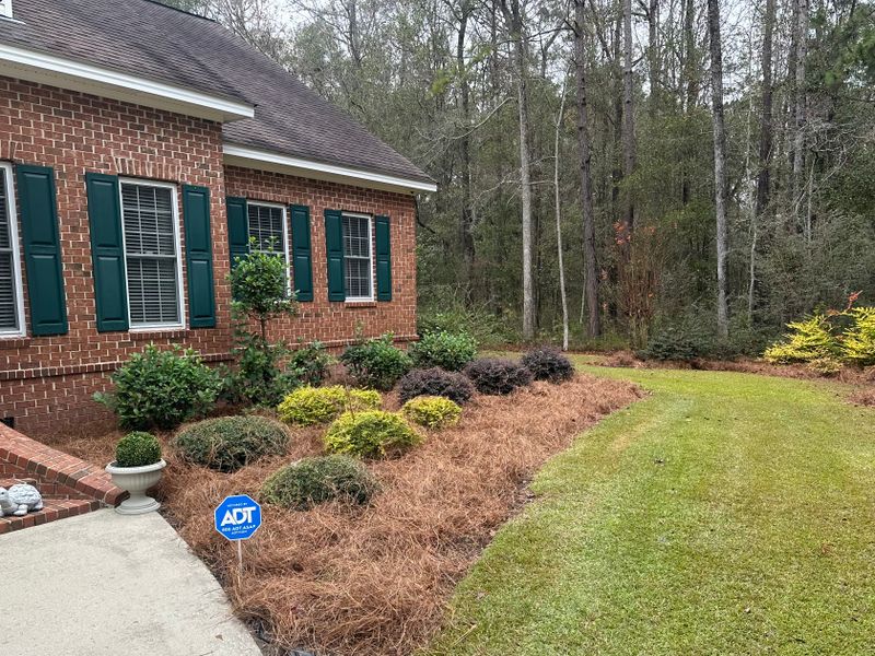 Landscape Design & Installation