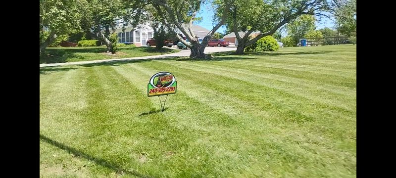 Lawn Maintenance