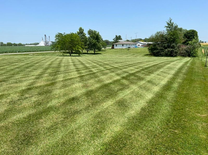 Mowing