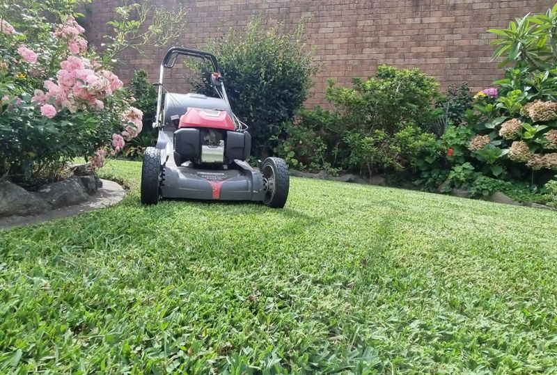 Lawn Maintenance