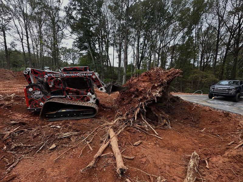 Land Clearing Photos