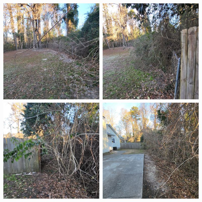 Brush Clearing